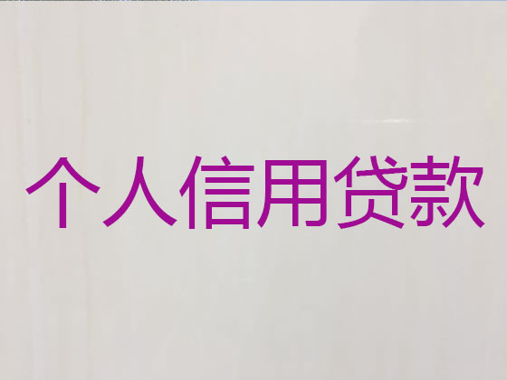 武夷山市贷款公司-银行信用贷款